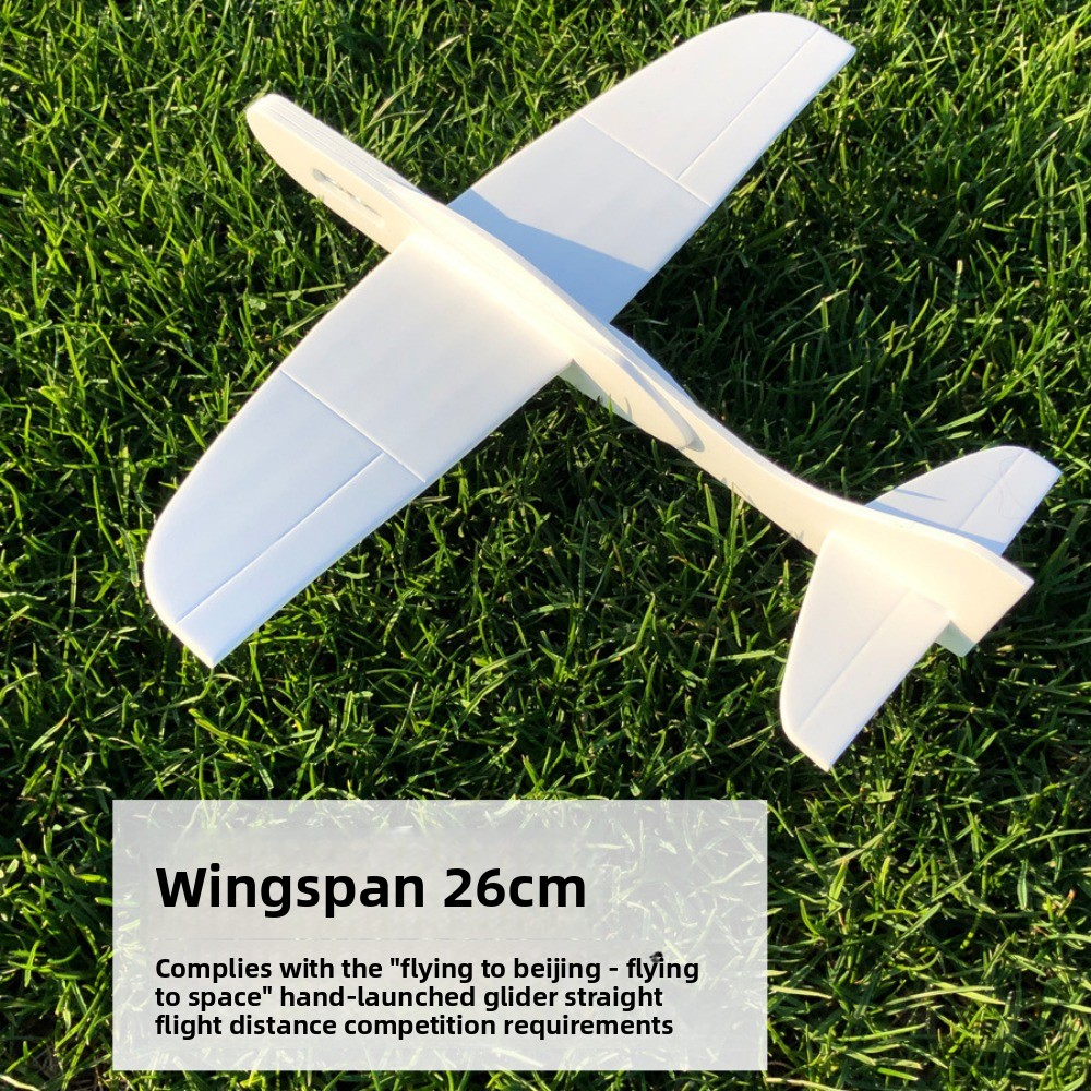 Lightweight Airplane Glider Mo - Model Airplane Plastic recensie en prijs